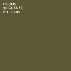 #5D5835 - Verdigris Color Image