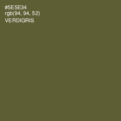 #5E5E34 - Verdigris Color Image