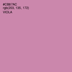 #CB87AC - Viola Color Image