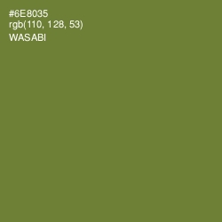 #6E8035 - Wasabi Color Image