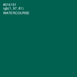 #016151 - Watercourse Color Image