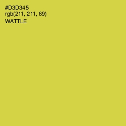 #D3D345 - Wattle Color Image