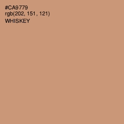 #CA9779 - Whiskey Color Image