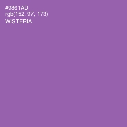 #9861AD - Wisteria Color Image