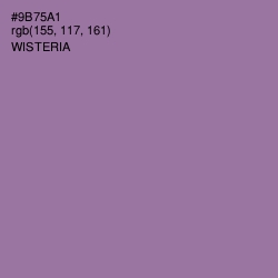 #9B75A1 - Wisteria Color Image