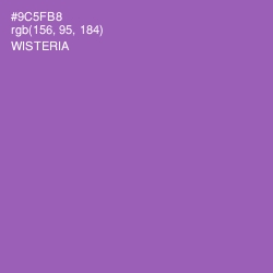 #9C5FB8 - Wisteria Color Image