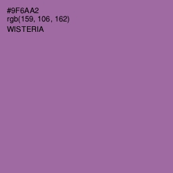 #9F6AA2 - Wisteria Color Image