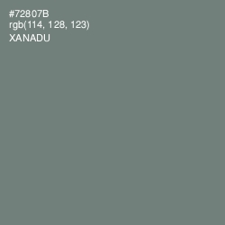#72807B - Xanadu Color Image