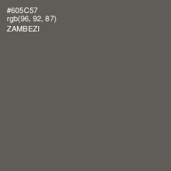 #605C57 - Zambezi Color Image