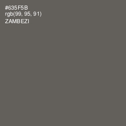 #635F5B - Zambezi Color Image