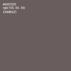 #695D5D - Zambezi Color Image