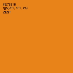 #E78318 - Zest Color Image