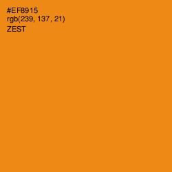 #EF8915 - Zest Color Image