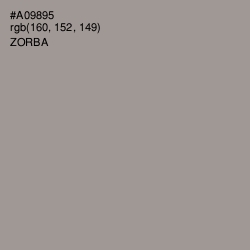#A09895 - Zorba Color Image