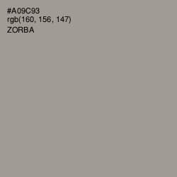 #A09C93 - Zorba Color Image