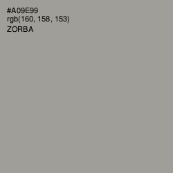 #A09E99 - Zorba Color Image