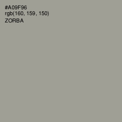 #A09F96 - Zorba Color Image