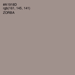 #A1918D - Zorba Color Image