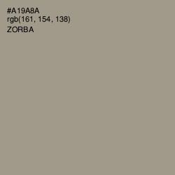 #A19A8A - Zorba Color Image