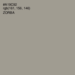 #A19C92 - Zorba Color Image
