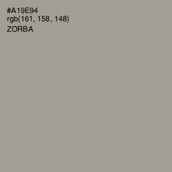 #A19E94 - Zorba Color Image
