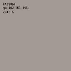 #A29992 - Zorba Color Image