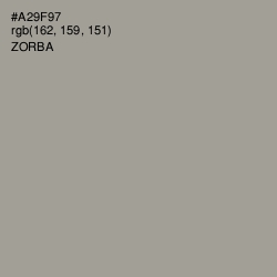 #A29F97 - Zorba Color Image