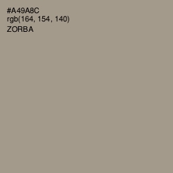 #A49A8C - Zorba Color Image