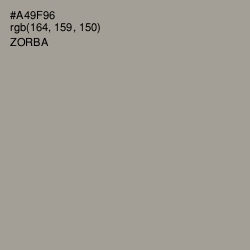 #A49F96 - Zorba Color Image