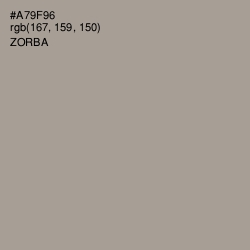 #A79F96 - Zorba Color Image