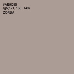 #AB9C95 - Zorba Color Image