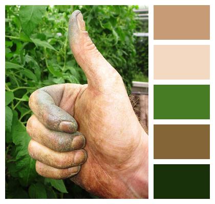Gardener Hand Thumb Image