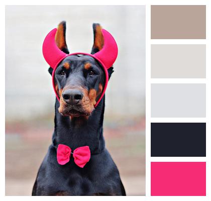 Devil Doberman Dog Image