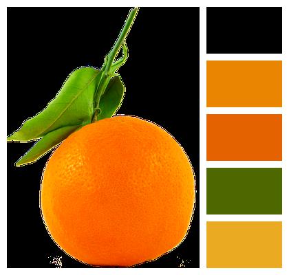 Transparent Fruit Orange Image