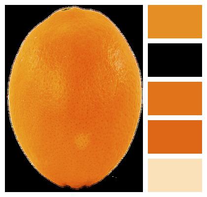 Orange Png Fruit Image
