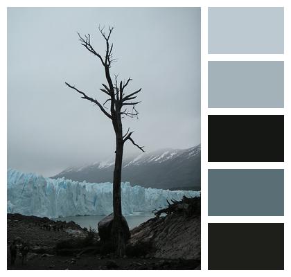 Glacier Chile Nature Image