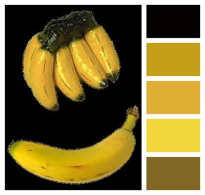 Fruit Treats Bananas Image