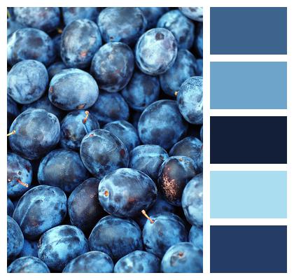 Fruit Plum Blue Image
