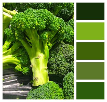 Green Broccoli Seiyu Image