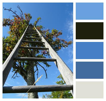 Heaven Tree Ladder Image