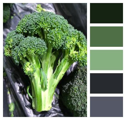 Vegetable Broccoli Seiyu Image