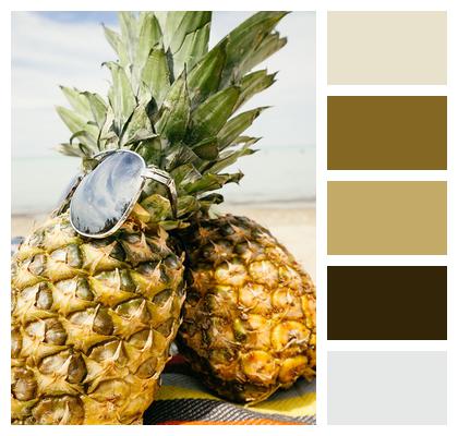 Nature Sand Pineapples Image