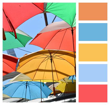 Colorful Umbrellas Decoration Image