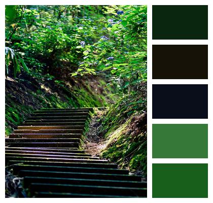 Japan Stairs Green Image