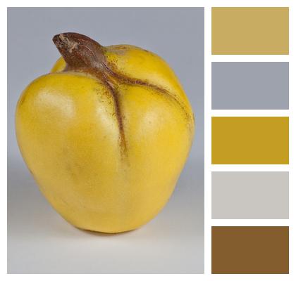 Quince Fruit Yellow Image