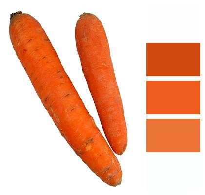 Carrots Food Vegetable Image