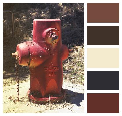 Nature Warm Fire Hydrant Red Image