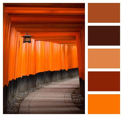 Art Color Architecture Image