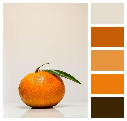 Mandarin Orange Clementines Image