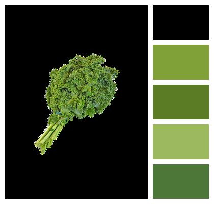 Local Kale Green Image